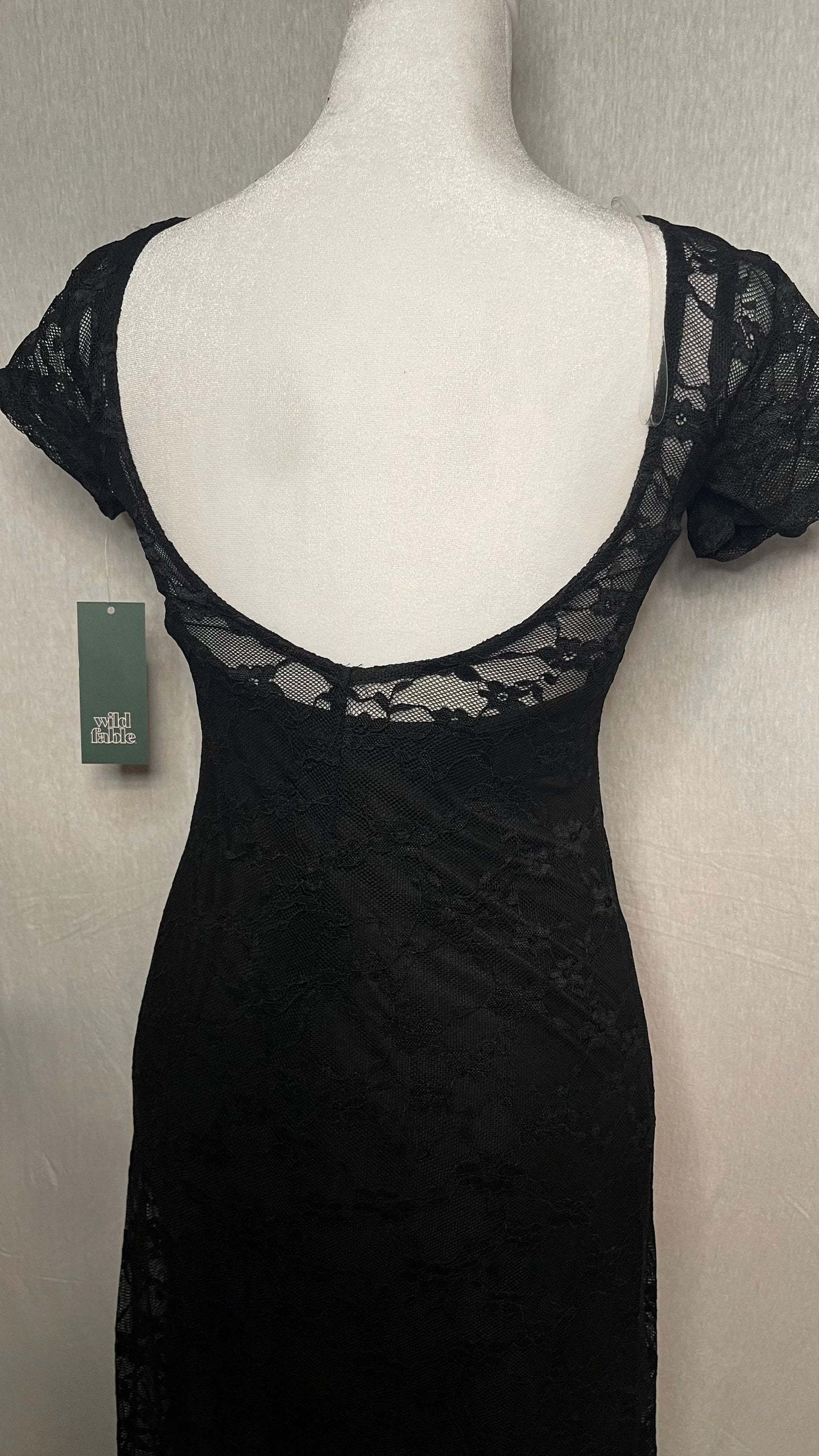 XS Wild Fable Black Lace Dress